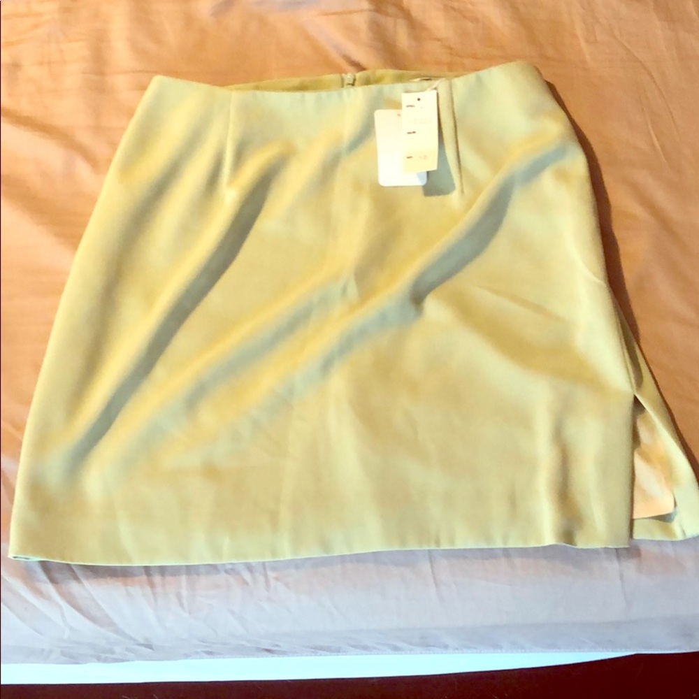 Sage green skirt. Fits like a size 6